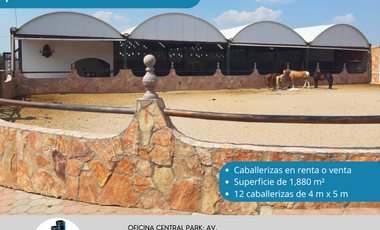 CABALLERIZAS EN VENTA Y RENTA EN DOLORES CUADRILLA DE ENMEDIO