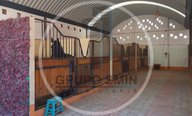 CABALLERIZAS EN VENTA Y RENTA EN DOLORES CUADRILLA DE ENMEDIO