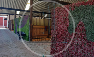 CABALLERIZAS EN VENTA Y RENTA EN DOLORES CUADRILLA DE ENMEDIO