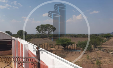 CABALLERIZAS EN VENTA Y RENTA EN DOLORES CUADRILLA DE ENMEDIO