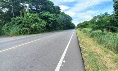 FINCA EN VENTA SECTOR ARMERO GUAYABAL TOLIMA