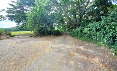 FINCA EN VENTA SECTOR ARMERO GUAYABAL TOLIMA
