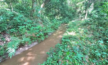 FINCA EN VENTA SECTOR ARMERO GUAYABAL TOLIMA