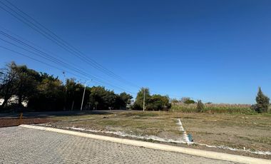 VENTA DE TERRENOS URBANIZADOS, ESCRITURADOS Y CON SERVICIOS EN AYALA, MOR.