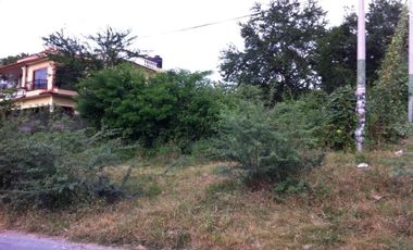 TERRENO EN VENTA SOBRE CARRETERA