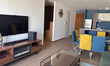 DEPA AMUEBLADO - TORRE D - PUNTA CASCATTA - PISO 2