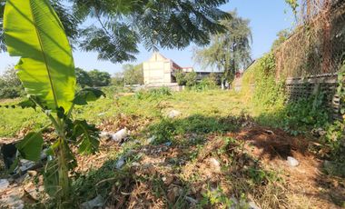 RARE FIND in Bangna – Lasalle – Bearing!Prime Large Land Plot at Only THB 50,000 per sq.wah – It Truly Exists! Accessible from Lasalle Soi 48,