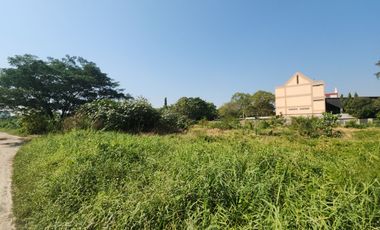 RARE FIND in Bangna – Lasalle – Bearing!Prime Large Land Plot at Only THB 50,000 per sq.wah – It Truly Exists! Accessible from Lasalle Soi 48,