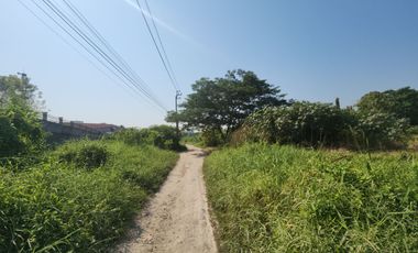 RARE FIND in Bangna – Lasalle – Bearing!Prime Large Land Plot at Only THB 50,000 per sq.wah – It Truly Exists! Accessible from Lasalle Soi 48,