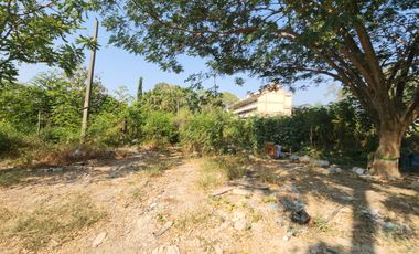 RARE FIND in Bangna – Lasalle – Bearing!Prime Large Land Plot at Only THB 50,000 per sq.wah – It Truly Exists! Accessible from Lasalle Soi 48,