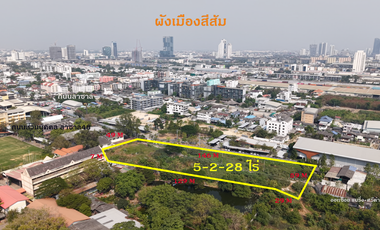 RARE FIND in Bangna – Lasalle – Bearing!Prime Large Land Plot at Only THB 50,000 per sq.wah – It Truly Exists! Accessible from Lasalle Soi 48,