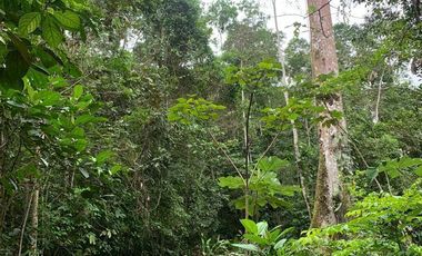 HOSTERIA DE VENTA A ORILLAS DE RIO NAPO DE OPORTUNIDAD