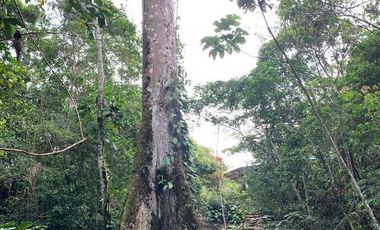 HOSTERIA DE VENTA A ORILLAS DE RIO NAPO DE OPORTUNIDAD