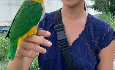 HOSTERIA DE VENTA A ORILLAS DE RIO NAPO DE OPORTUNIDAD