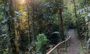 HOSTERIA DE VENTA A ORILLAS DE RIO NAPO DE OPORTUNIDAD
