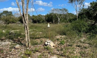 Terreno en venta en Komchén, al norte de Mérida, Yucatán.