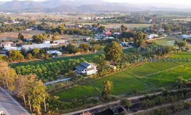 Land 4 rai in San Kamphaeng for Sale