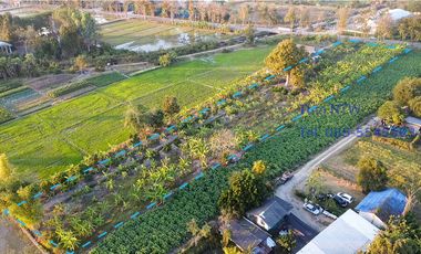 Land 4 rai in San Kamphaeng for Sale