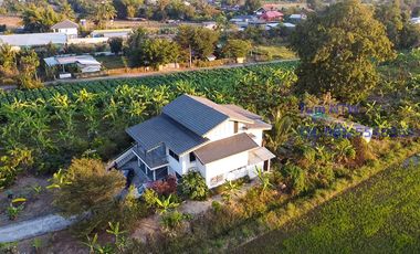 Land 4 rai in San Kamphaeng for Sale