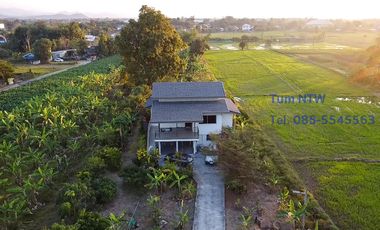 Land 4 rai in San Kamphaeng for Sale