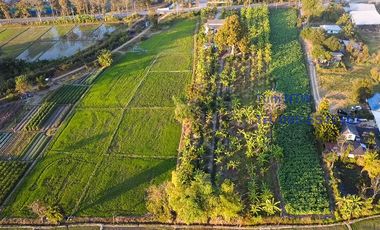 Land 4 rai in San Kamphaeng for Sale