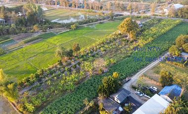 Land 4 rai in San Kamphaeng for Sale