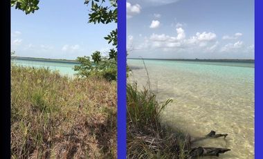 Terreno en Venta en  Bacalar con frente de Laguna de 50 metros