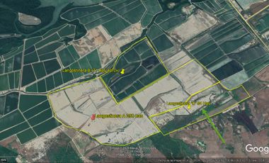 Terreno en Tumbes para Langostinera de Aprox 53 has