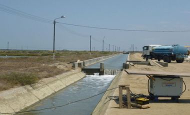 Langostinera en Tumbes de 250 has