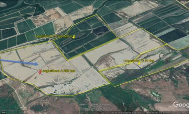 Langostinera en Tumbes de 250 has