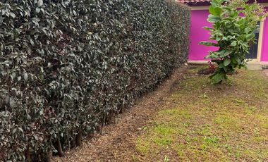 Casa Campestre Se Vende Tabio Cund