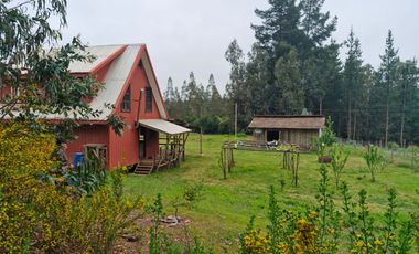 Venta Parcela Talcamavida, Sector La  Palma, Hualqui.