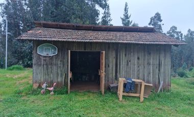 Venta Parcela Talcamavida, Sector La  Palma, Hualqui.