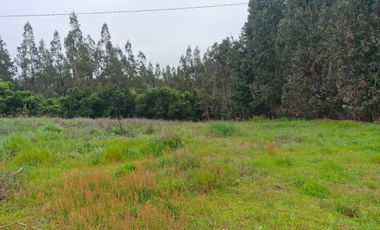 Venta Parcela Talcamavida, Sector La  Palma, Hualqui.