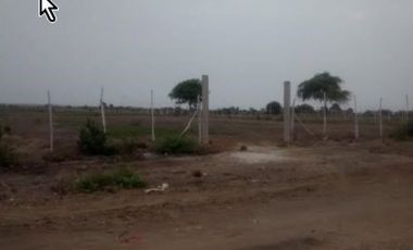 3 Terrenos en Tumbes en Nuevo Corredor Comercial – (3.5 Has, 5.32 Has y 6.82 Has)