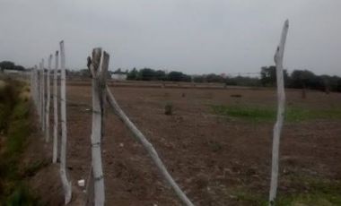 3 Terrenos en Tumbes en Nuevo Corredor Comercial – (3.5 Has, 5.32 Has y 6.82 Has)