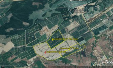 Langostinera en Tumbes de 71 Hectáreas