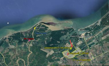 Langostinera en Tumbes de 71 Hectáreas
