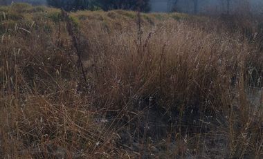 TERRENO EN VENTA EN ATEMPAN, TLAXCALA