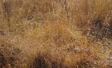 TERRENO EN VENTA EN ATEMPAN, TLAXCALA
