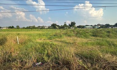A large plot of land for sale in Sankhampeang, Chiang Mai