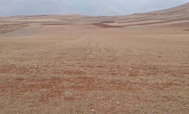 En venta Terreno  Sector Awacopampa Maras  Área: 7,300 m² ¡Gran Oportunidad de Inversión en Maras, Urubamba!
