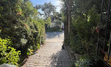 Vive en el Barrio los Dominicos!