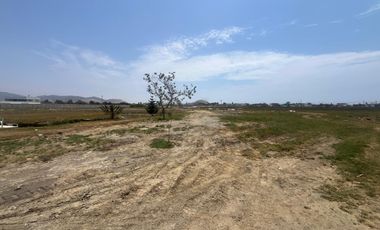 Terrenos en Cañete MALA (2 hectáreas)