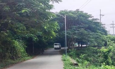 Ready For Occupancy. Cash and Bank Loan Accepted. Private House at Bgy. Salawag Dasmarinas Near Vermosa Ayala