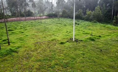VENDO QUINTA EN MACHACHI - HUALILAGUA
