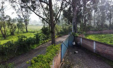 VENDO QUINTA EN MACHACHI - HUALILAGUA