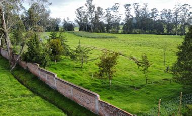 VENDO QUINTA EN MACHACHI - HUALILAGUA