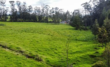VENDO QUINTA EN MACHACHI - HUALILAGUA