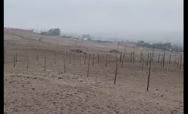 VENTA DE TERRENO EN CHANCAYLLO, CHANCAY